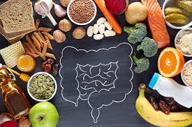 Gut Health 101 A Comprehensive Guide
