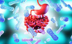 Gut Health 101 A Comprehensive Guide